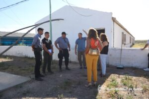 Se robaron 30 chanchos de la granja porcina en Catriel